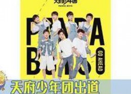 娱乐圈吃瓜团宠小说