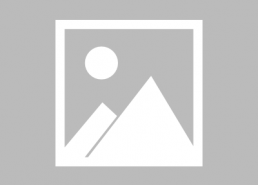 众生皆苦娱乐吃瓜酱,吃瓜酱陪你轻松度日